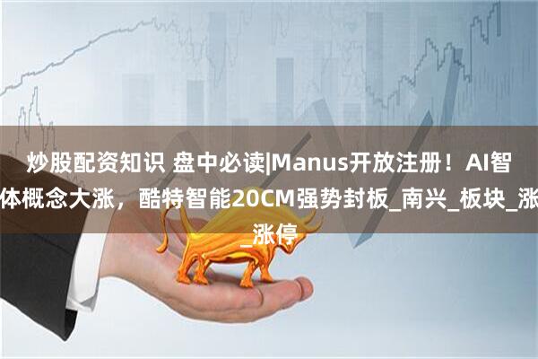 炒股配资知识 盘中必读|Manus开放注册！AI智能体概念大涨，酷特智能20CM强势封板_南兴_板块_涨停